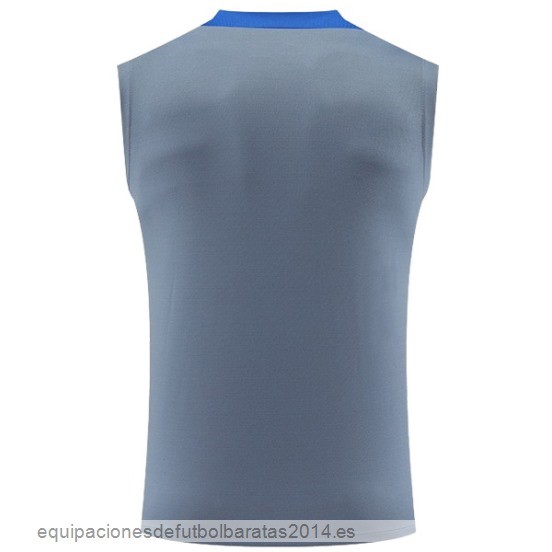 Nuevo Entrenamiento Sin Mangas Inter Milan 24/25 Gris Azul Baratas